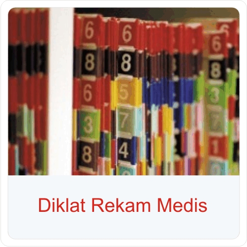 pelatihan rekam medis